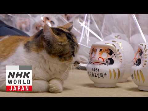 Gunma: Kusatsu Onsen and Daruma Dolls - A Cat's-Eye View of Japan