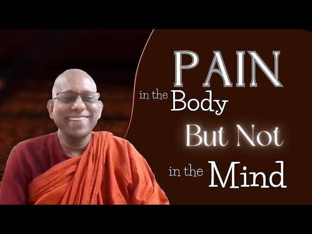 Pain in the Body But Not in the Mind—Nakulapitusutta SN 22 1 class=