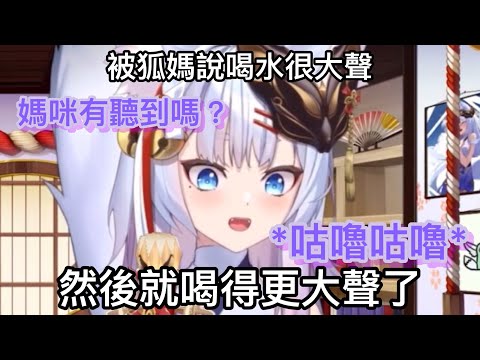 【神稻櫻火精華】狐媽說火火喝水很大聲，然後火火就喝得更大聲了