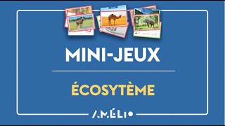 50+ façons de jouer avec les mammifères - mini-jeu « Écosystème ».