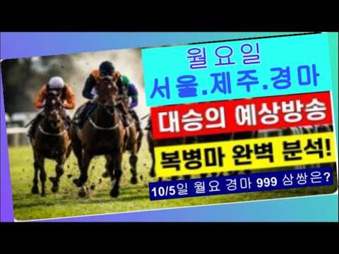 월요 서울.제주 경마 2026년 10월 5일 예상방송 복병 참고요?