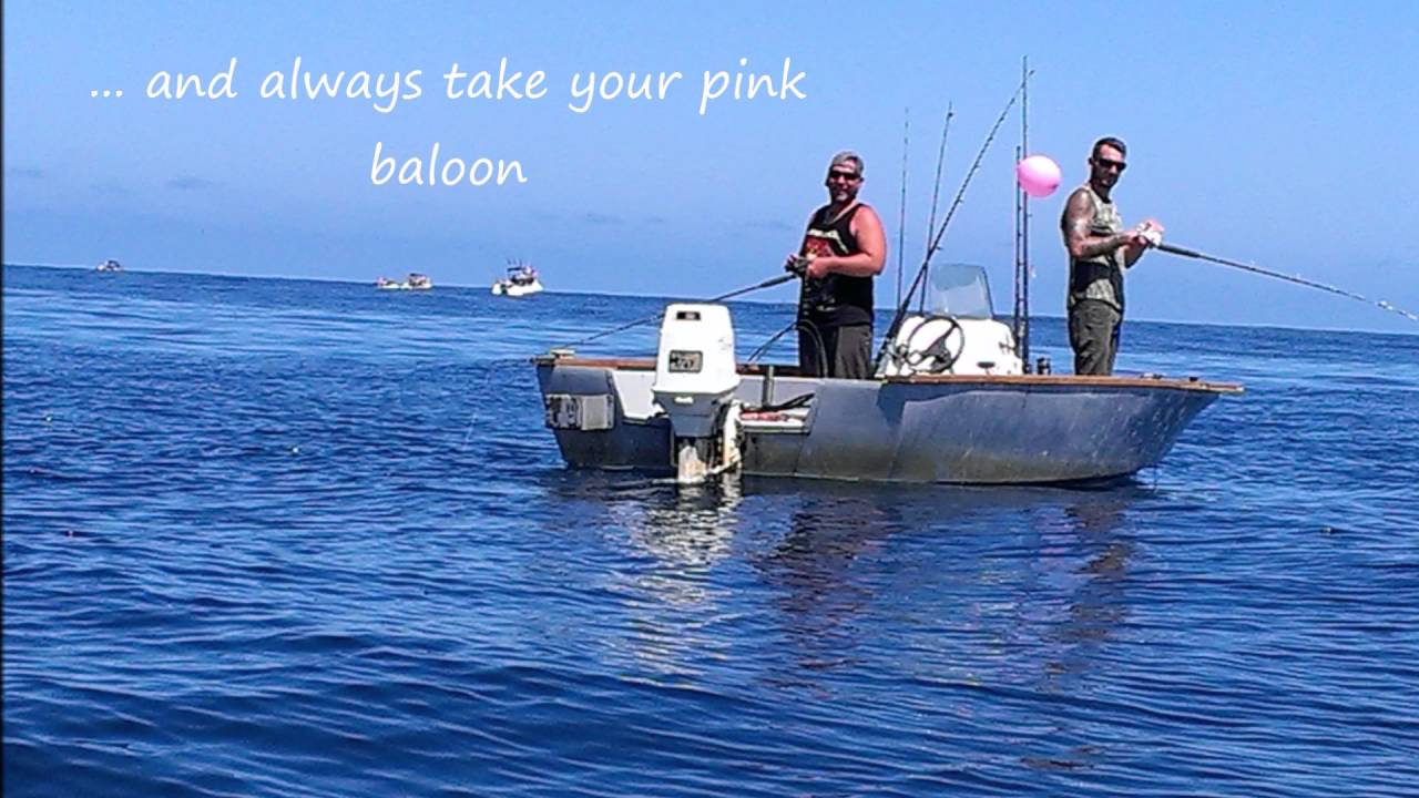 Manukau Heads YouTube