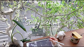 3-HOUR STUDY WITH ME 🌿 | Chill Lofi Music | Pomodoro 25/5 | Tree-View Café Ambience