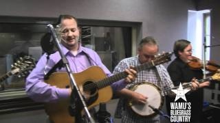 Michael Cleveland & Flamekeeper - Flower Blooming in the Wildwood [Live at WAMU's Bluegrass Country] chords