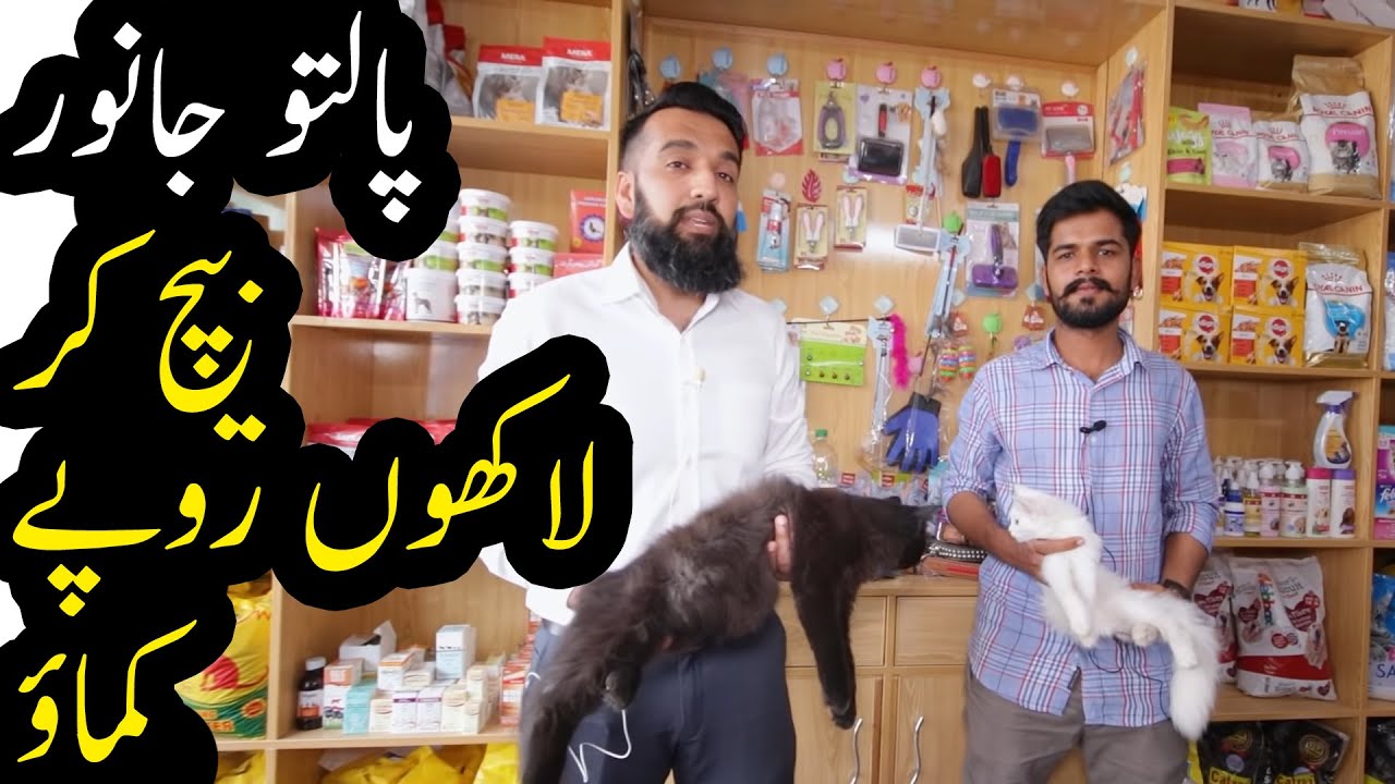 Earn By selling Pet food & accessories Azad Chaiwala YouTube
