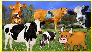 30 Cute Animal Sounds For Kids 🐄🐕 | Learn Animal Names And Sounds | Cat,Cow, Elephant#animalsforkids