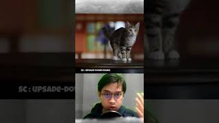 KEKUATAN SIHIR DILUAR NAYLA 🗿#shorts #shortsfeed #alurceritafilm