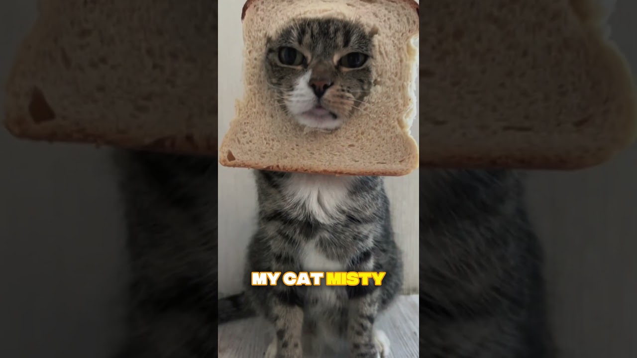 The Real Reason Cats Knock Things Over 😹🍶