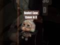 Basket Case Canon In D #rock #guitar #greenday #music #edit #shortmusic