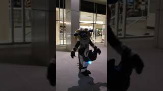 TFF 2020_BashfulBeeps TFF 2020_BashfulBeeps