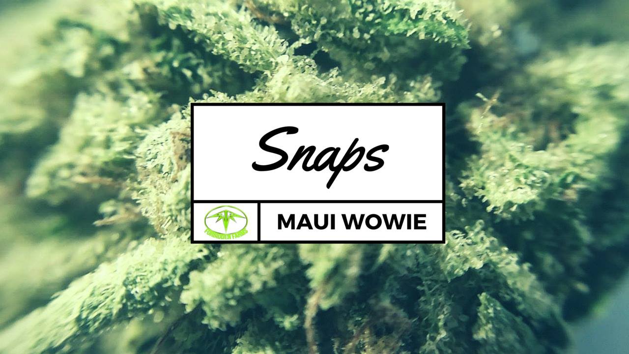 Snaps: Forbidden Farms' Maui Wowie