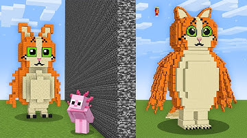 I Cheated With NEWEST BRAINROT In Minecraft Build Battle