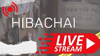 Live Discussion & Updates! More on Kaylee Jones & Kiely Rodni @HibaChai