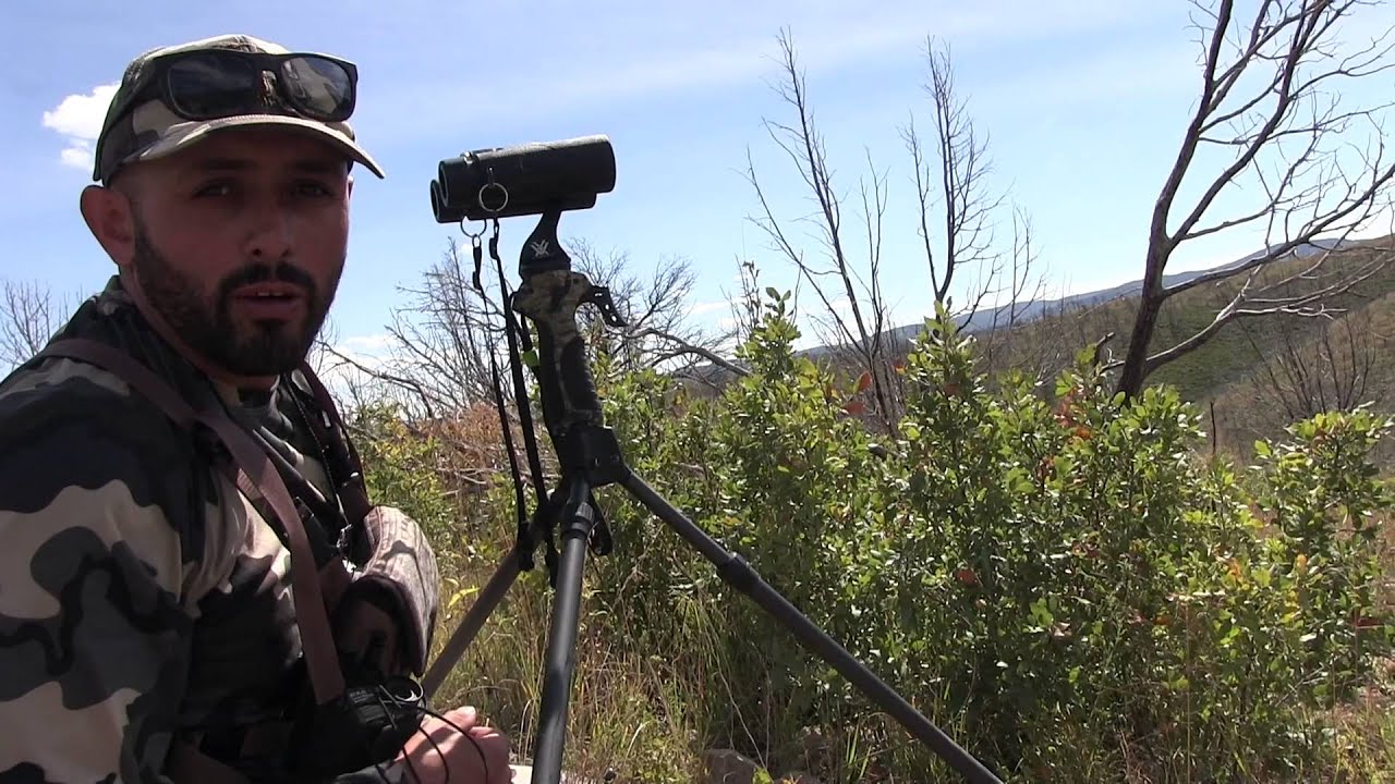 New Mexico Elk Hunt 2015 YouTube