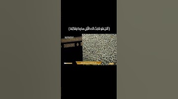 ترتيل مؤثر من سورة الزُّمَر 🫀فضيلة الشيخ#ياسر_الدوسري #قرآن #تلاوات # #الحرم_المدني #