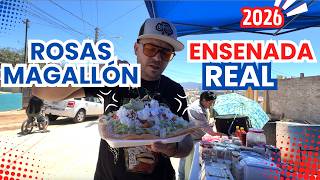 😳 Así es la Colonia ROSAS MAGALLÓN en Ensenada Baja California 🇲🇽 ¿La conocías?