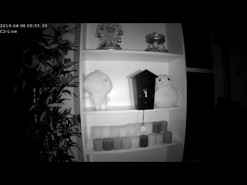 Foscam Livestream 10