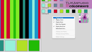 Colorway Display Panel Options | TUKAstudio Video Help | Fabric Design Software | Colorways
