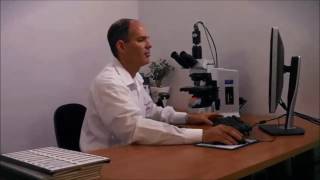 Genasis Hipath Ihc Imaging And Ysis