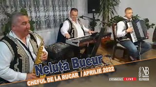 NELUTA BUCUR . Chef la Rucar (Live.Aprilie 2022)