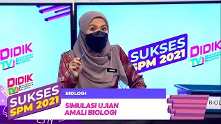 Sukses SPM (2021) | Simulasi Ujian Amali Biologi