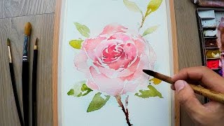 rose dore watercolor paint 7