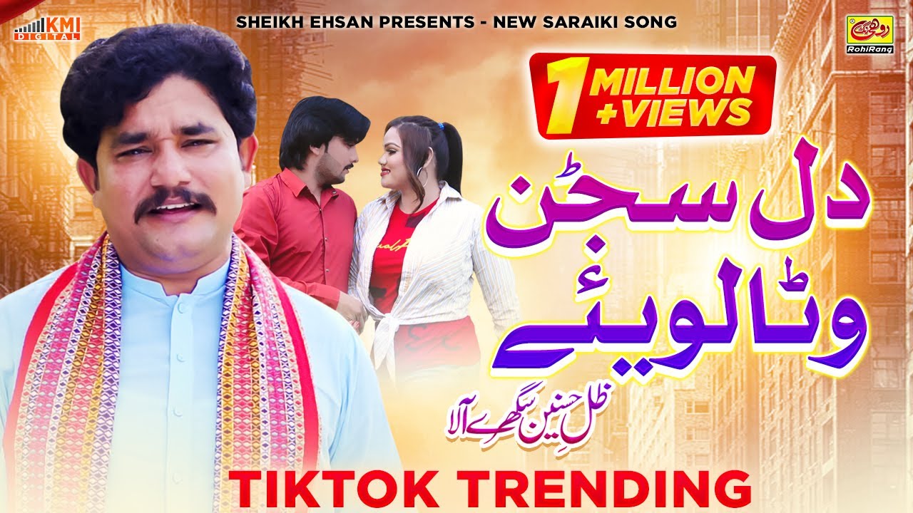 Dil Sajanr Wata Laviye Dil Nal Salah Kar Ley | Zille Hasnain | TikTok Viral Song 2024