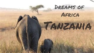 Dreams of Africa - Tanzania