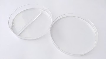 Petri Dish Production Line (8S): How to make cell-culture dishes?