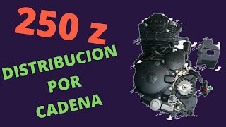 COMO PONER A TIEMPO UN MOTOR 250cc