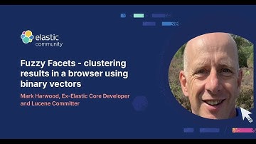 Binary Vectors & Fuzzy Facets: Clustering Results in a Browser Using Binary Vectors