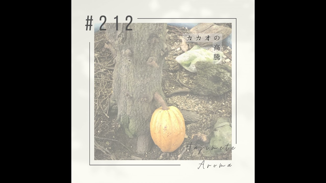 第212 話 / カカオの高騰 - YouTube