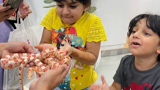 عيد الاضحى في مدينة الطفل حديقة الخور دبي | Eid in  CHILDREN CITY