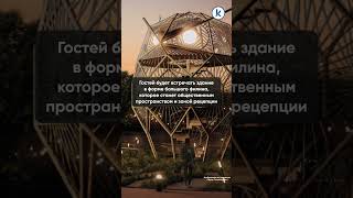 На территории природного заказника в Филинской бухте предложили обустроить экопарк с глэмпингами