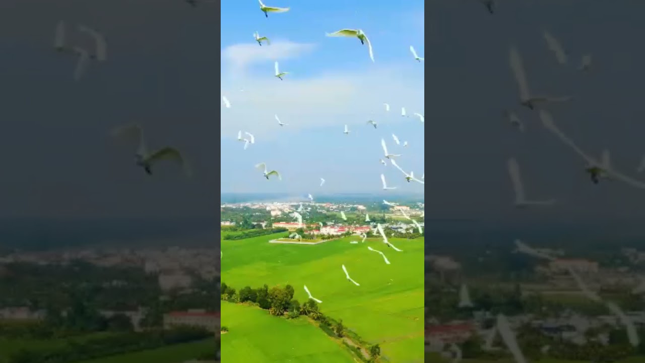 Your Next Destination 🌳🌲 