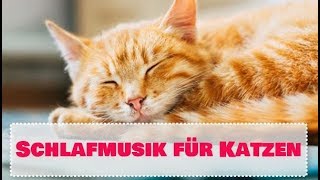 Schlafmusik für Katzen : Schlaf Musik für Katzen und Hunde - Entspannende Musik by KittyKitty 32,831 views 5 years ago 4 hours, 26 minutes