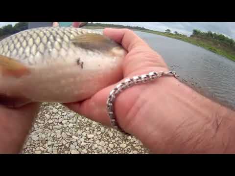 AVTANDILI handmade lures vs გიგანტი ქაშაპები:))