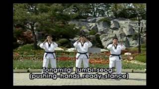 Taekwondo (24).avi