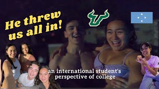 what i ve learned as an international student USF pacific islander