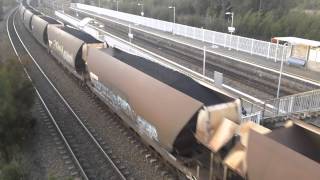 9026,9029,9021 with a coalie at sandgate