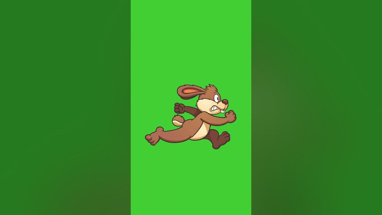 Angry Bunny Walking on Green Screen Background | #bunny #bunnies #angry ...