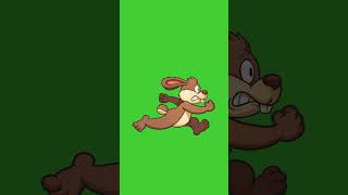 Angry Bunny Walking On Green Screen Background