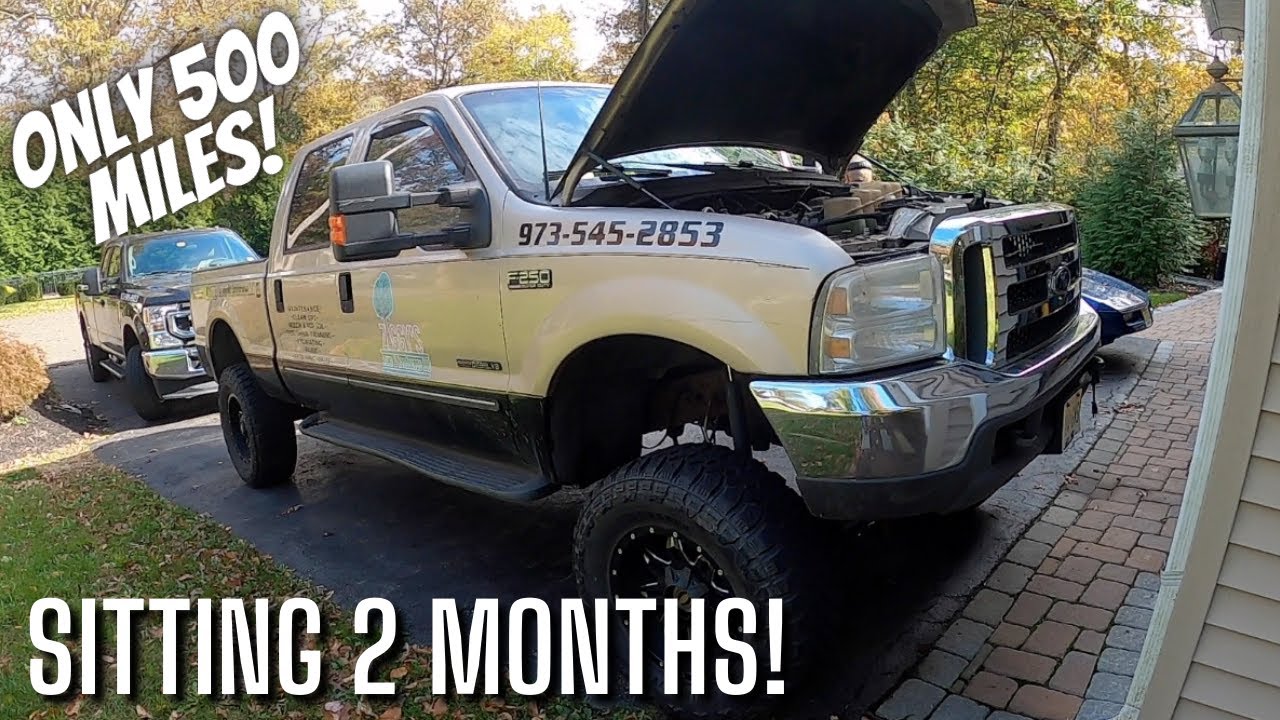 BRAND NEW 7.3 Powerstroke Engine - First Startup After Sitting 2 Months