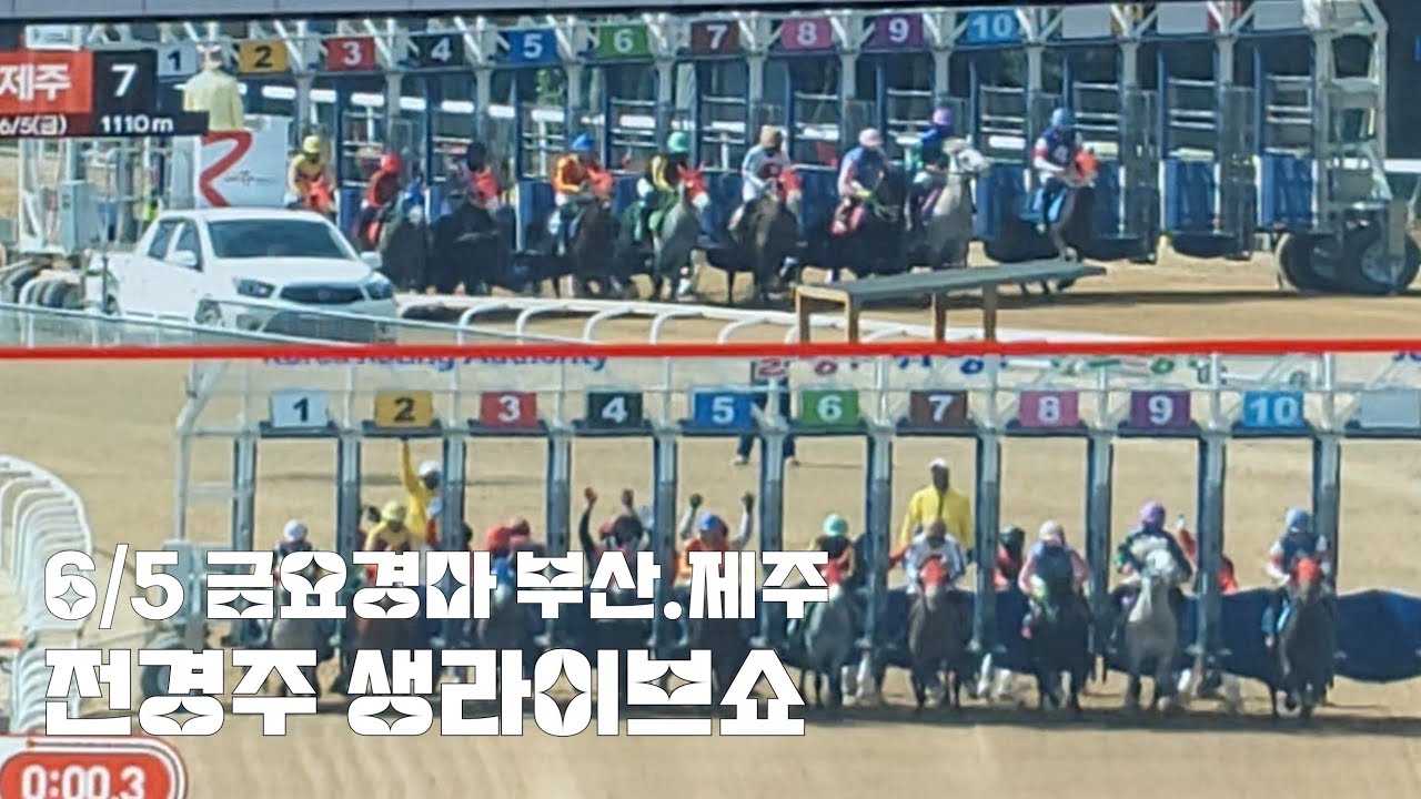 금요경마 최고 배당 2069.1배 (부산.제주전경주 생라이브쇼)