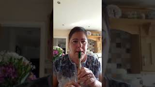 Marino Casino tin whistle John Sheehan version chords