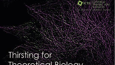 The Active Mechanical Behavior of the Cytoskeleton Studied via Cell-Free... by Gijsje Koenderink