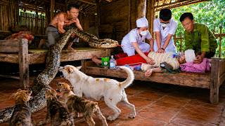 72 Hours Of Terror: Giant Python Ambushes A Sick Woman As Doctors Race To Save Her!