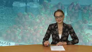 Infostudija 2020-05-26
