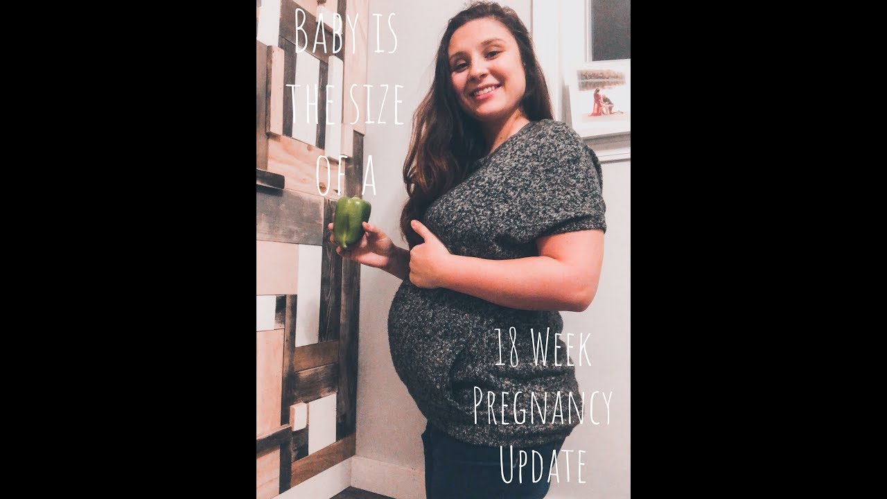 18 Week Pregnancy Update & Belly Shot! 23 & Pregnant - YouTube