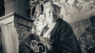 MEETING THE BUDDHA | Official Trailer